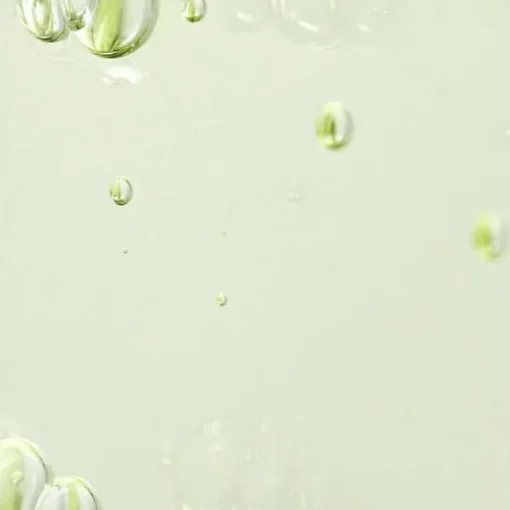 Beauty of Joseon Calming Serum Green Tea + Panthenol 30ml