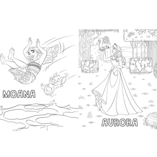 Disney Princess Colouring Fun