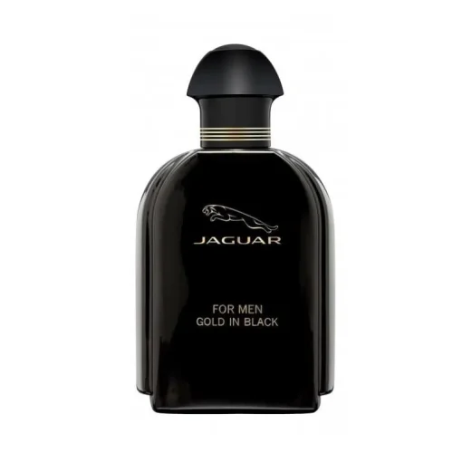 Jaguar for Men Gold In Black Edt 100ml