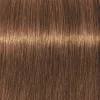 Schwarzkopf Professional Igora Vibrance Kit 7-55 Medium Blonde Gold Extra