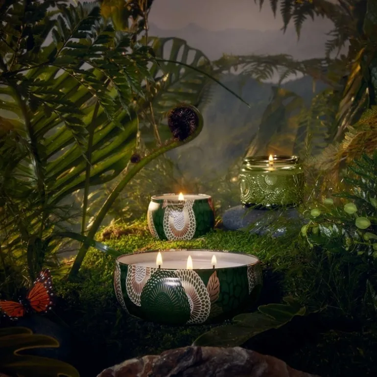 Voluspa Mini Decorative Tin Candle Temple Moss 113g