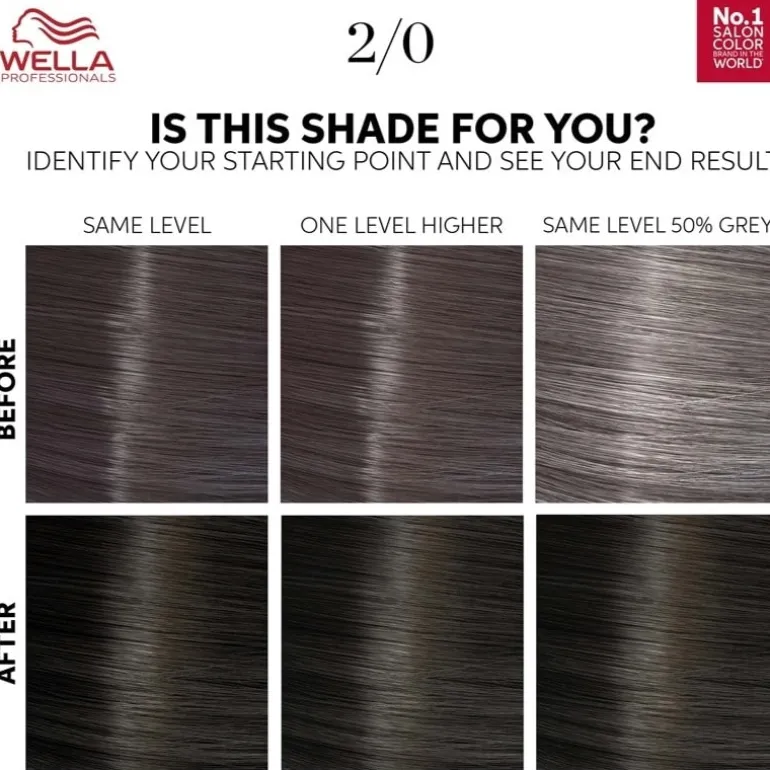 Wella Color Touch Pure Naturals 2/0 Black